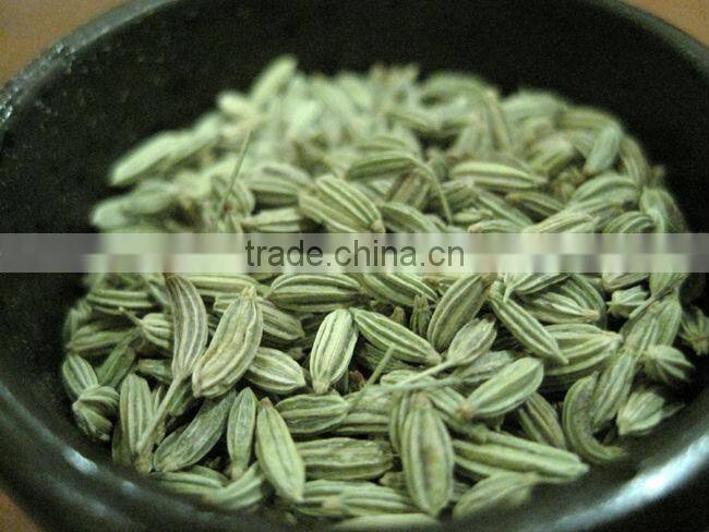 Fennel seeds supplier