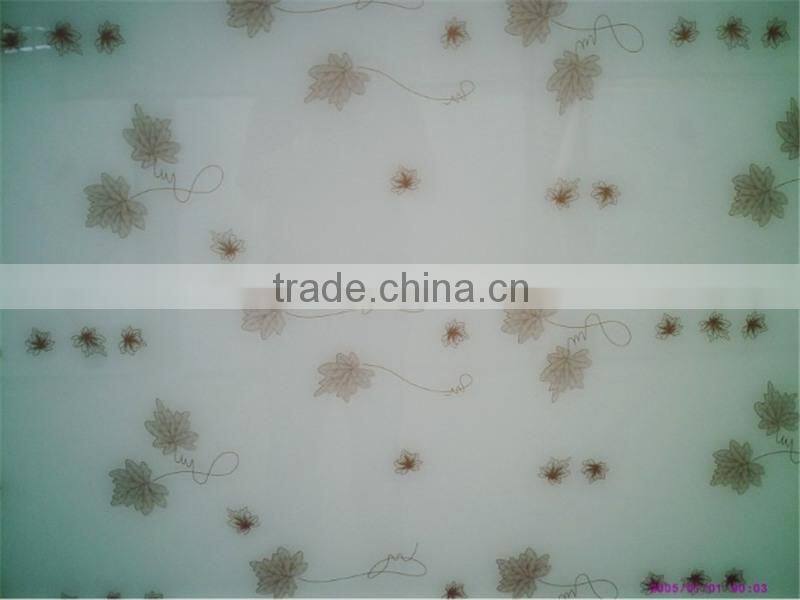 3D acid etched back painted glass