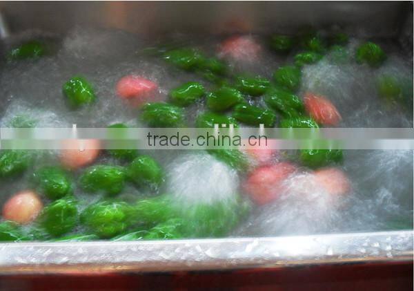 fruits & vegetable cleaning machine