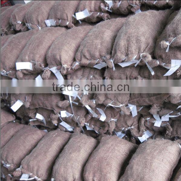 dandong city chestnuts jinhua species