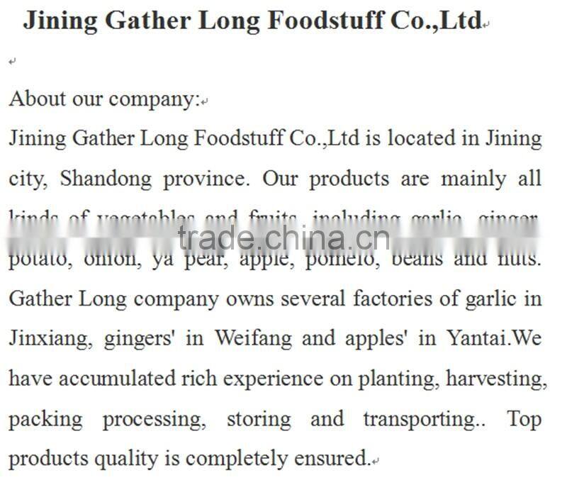 Pure white garlic (snow white garlic, super white garlic)