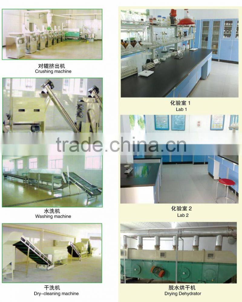 hot new products for 2015 chili pod,Chili King red chily sauce