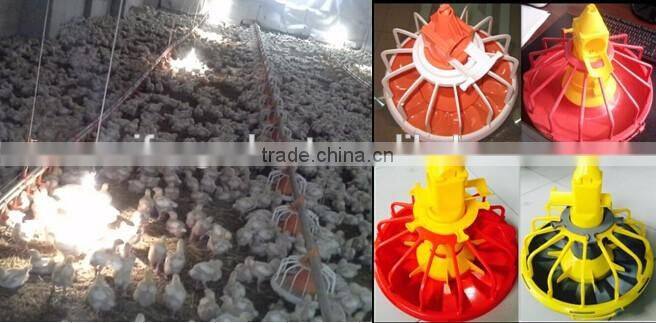 feeding system for chicken farm