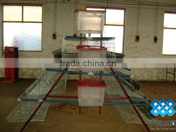 hot sales A type chicken cage for chicken farm