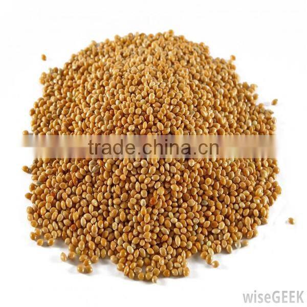 2014 Chuanyue made quality assurance millet and sorghum processing machine