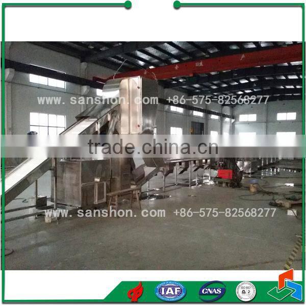 fruit and vegetable processing line