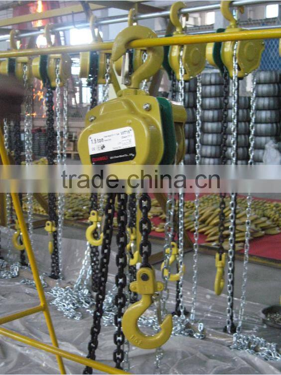 Vital Lifting Chain hosit