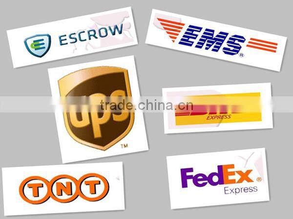 3/16' Galvanized US Type Drop Forged chain anchor snap Dee Shackle price