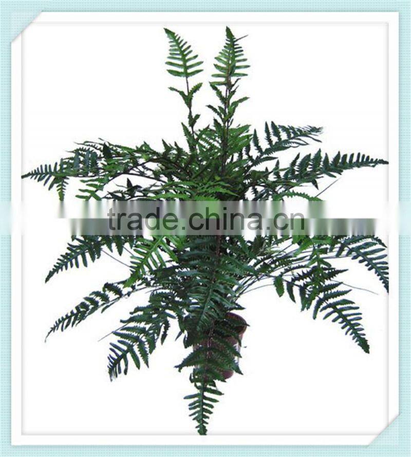 Artificial fern plants with Class A fire protective