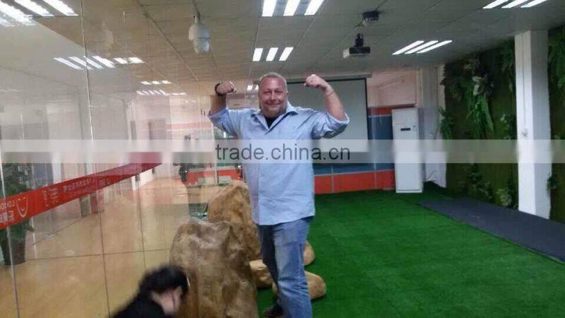 hot sale in China long life plastic boxwood mat with plastic net