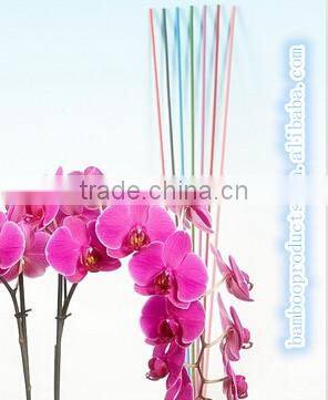 Thick Bamboo Sticks