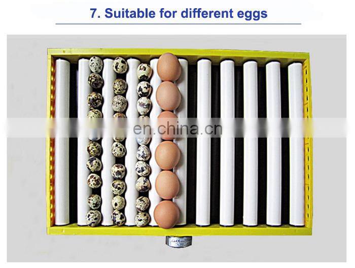 Automatic Chicken Egg Incubator For Sale