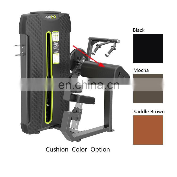 Discount Price E4028A Friceps Extension Fitness Gym Equipment Building Body