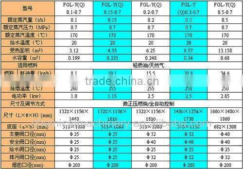 FLK new design automatic steam boiler