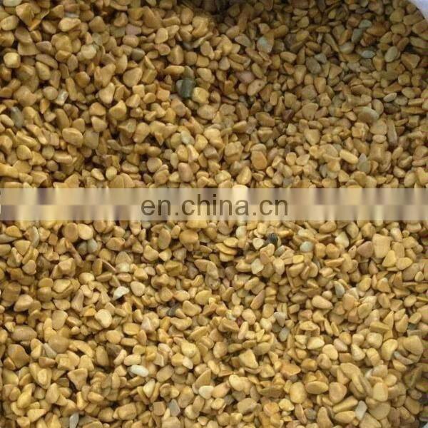 Colorful pebble garden stepping stone