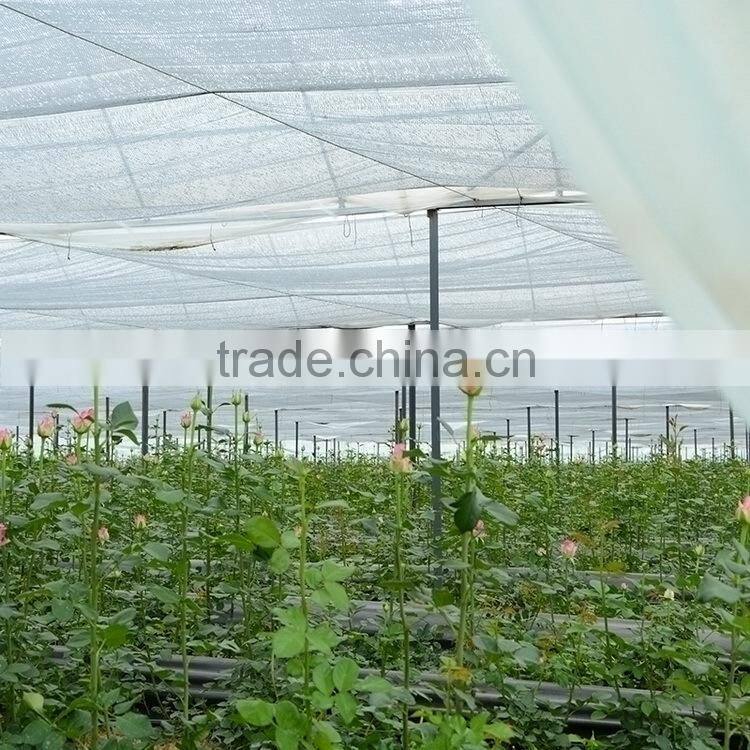 Cut Fresh new coming pink and violet cotton bakers twine