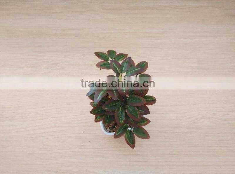 outdoor bonsai rose blossom tree,mini fake agave plant treens