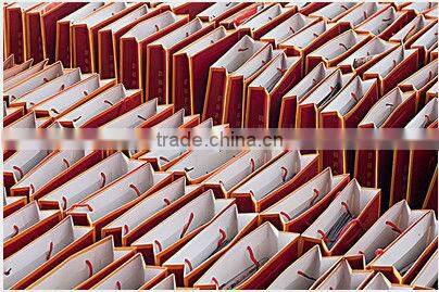 giraffe gift xmas paper bags