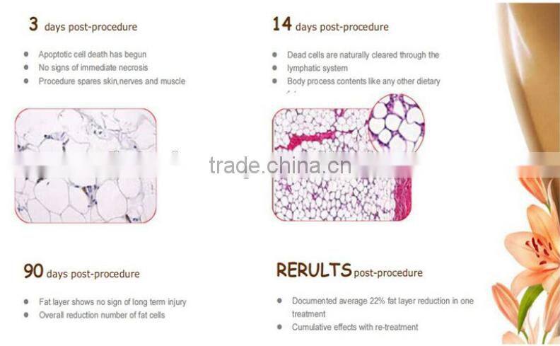 portable cryo lipolysis fat freezing/body cool sculpting weight loss equipment