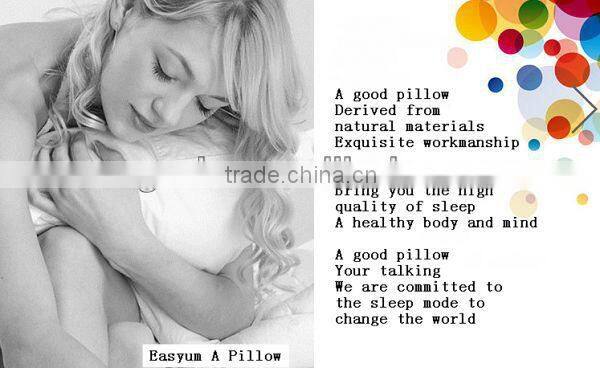 Palace Health Care Pillow