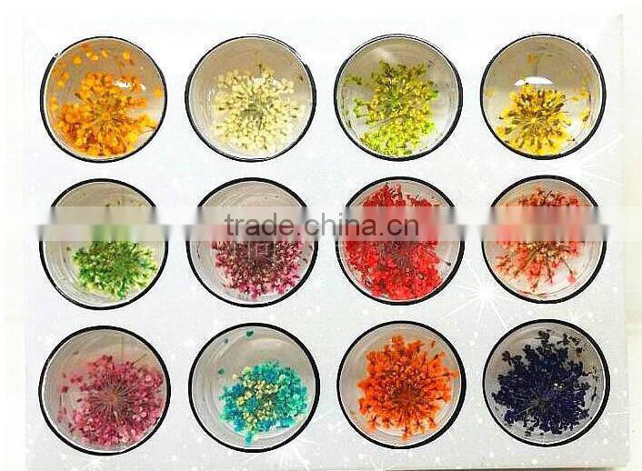 Hot sell nail art natural dried flowers for nail art decoration,nail accessory ZX:GH747