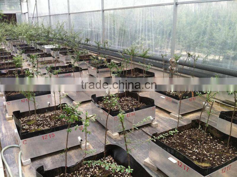 root peneration resistance sbs-modified asphalt waterproof membrane with polyester reinforcement