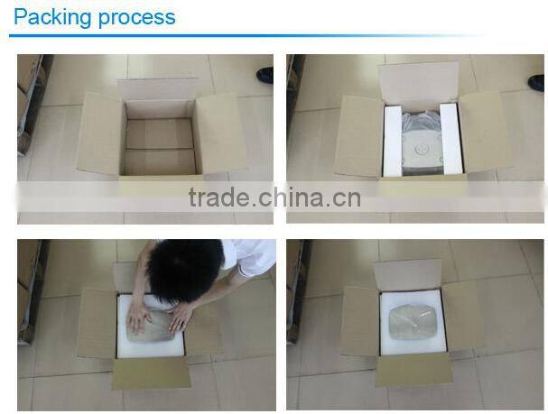 High accuracy 30kg Electronic stainless steel weighing scale