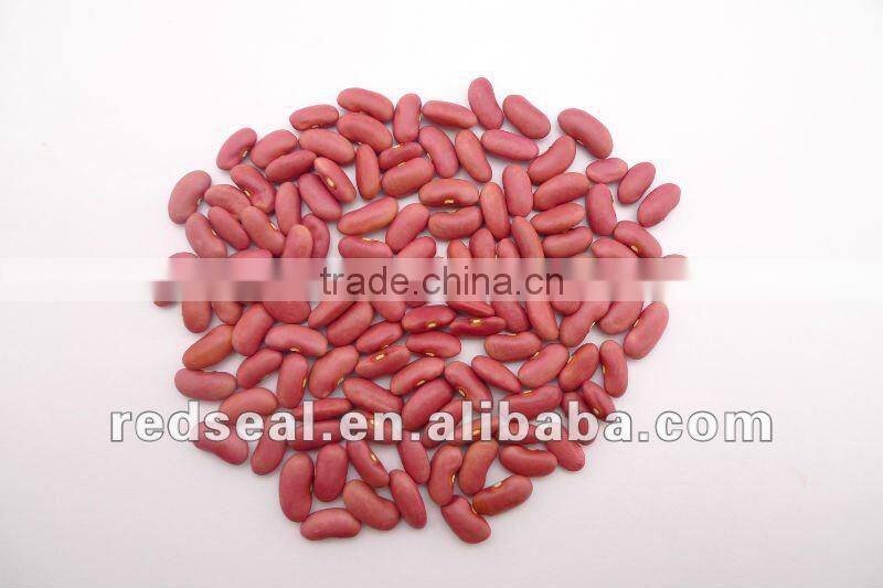 Dark red kidney beans for sale