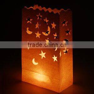Christmas luminaire candle bags