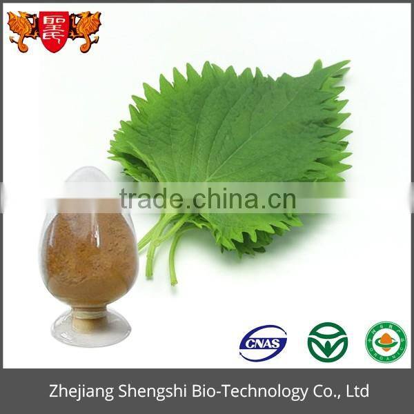 ISO GMP Factory 100% Pure natural mulberry leaf extract