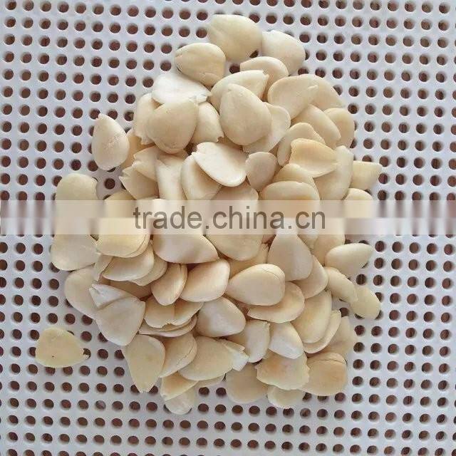 Blanched Sweet Apricot Kerenels Whole Piece Longwang Type in china