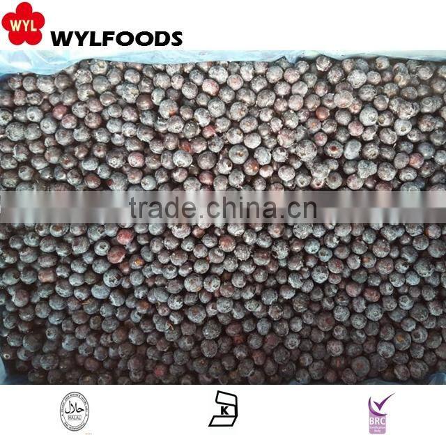 delicous snack frozen samosa high quality