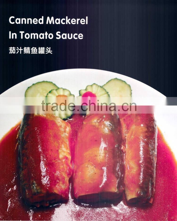 15oz choice quality tin pacakging canned mackerel in tomato sauce