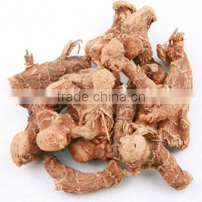 Hot Selling in Africa Red Ginger Slice