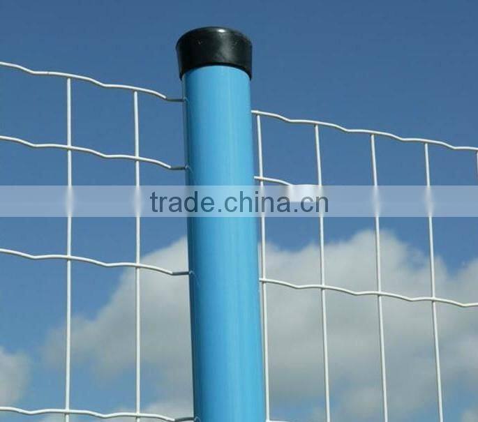 green pvc coated welded holland wire mesh