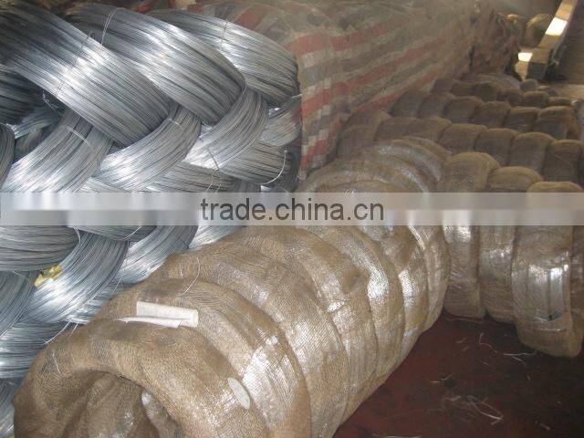 Electro Galvanized Wire