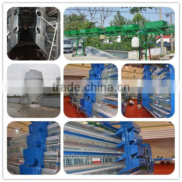 poultry farm equipment/chicken cage/quail cage