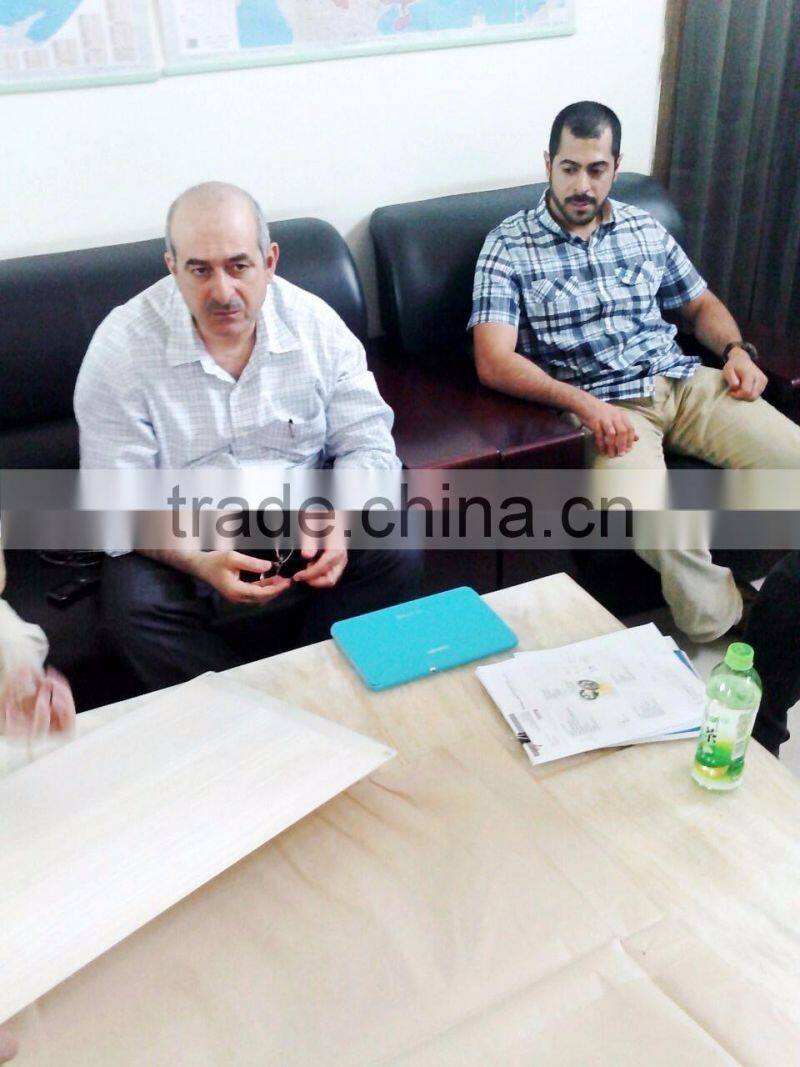 High efficiency plant piece Coal Ball Tablet Pillow Shape Charcoal Making Machine