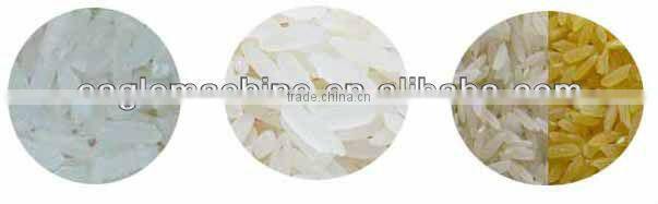 small twin screw extruder for snack foods,pet foods fish feed etc