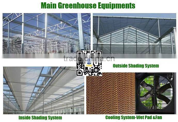 Galvanized Steel for Commercial Greenhouse