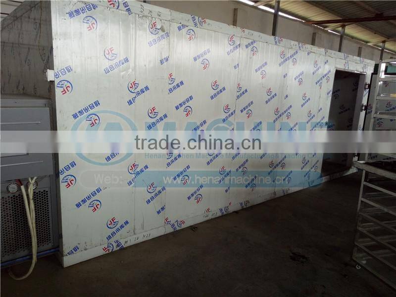 high capacity vacuum dryer fruit and vegetables dates herbs and meet