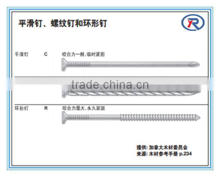trade assurance Spiral shank concrete steel for building