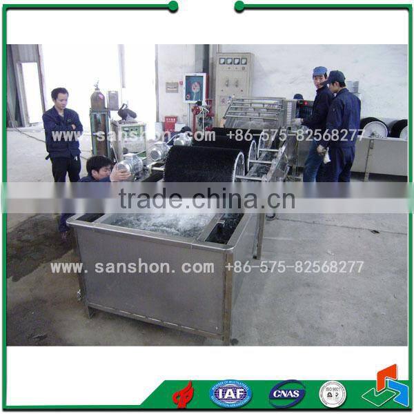 Advanced Fruit & Vegetable Industrial Washing Machine