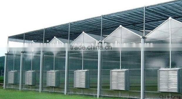 Warm in winter and cool in summer ecological greenhouse