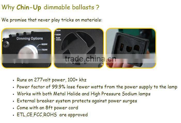 1000w double ended electronic ballast/1000w hps mh electronic ballast/600w grow light