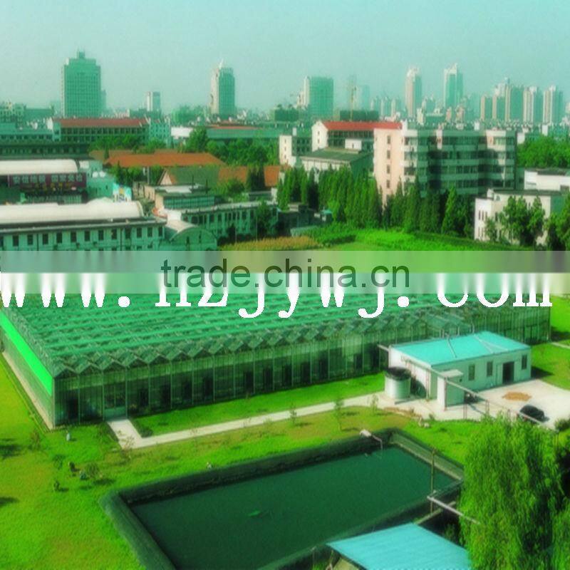 Automatic glass greenhouse