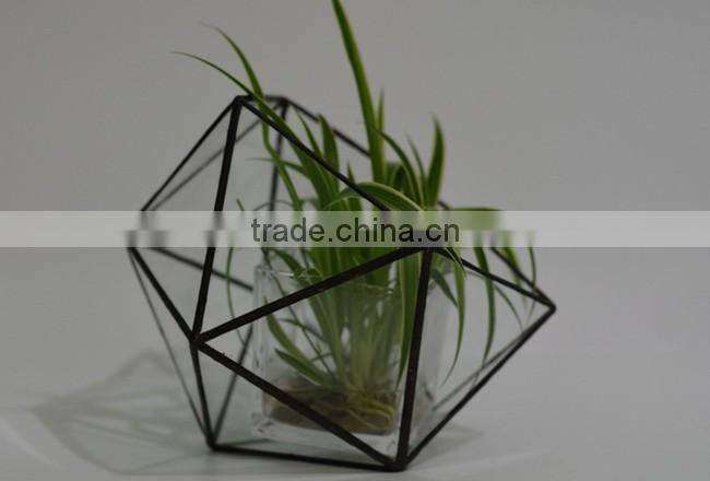 Home design clear glass terrarium succulent plants greenhouses