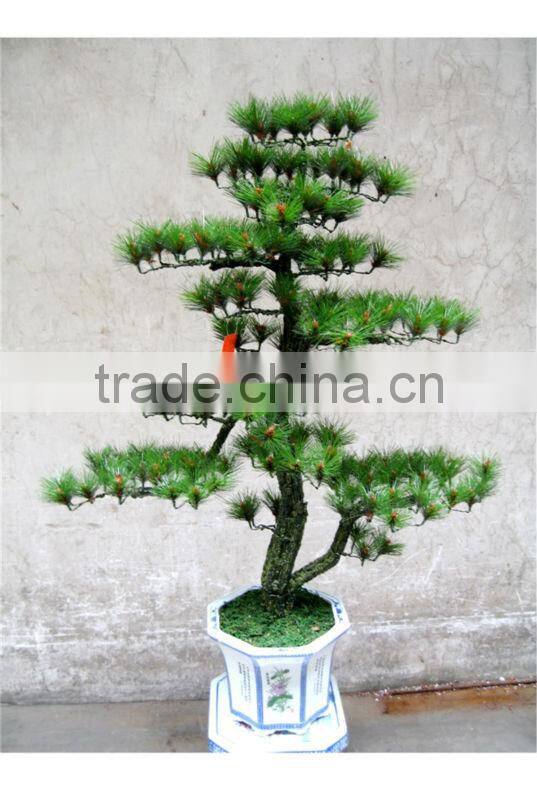 artificial pine tree ( plant bonsai flower / tree of DESTE )