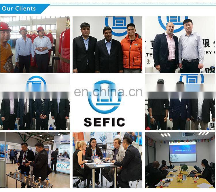 0.8kg Automatic Fire Extinguisher Fire Ball