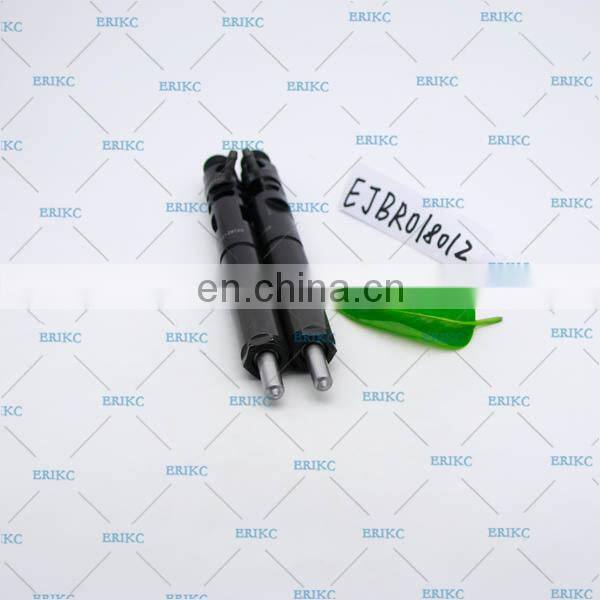 ERIKC EJBR01801Z high pressure injector 8200049873 1801Z injector diesel EJB R01801Z for NISSAN RENAULT